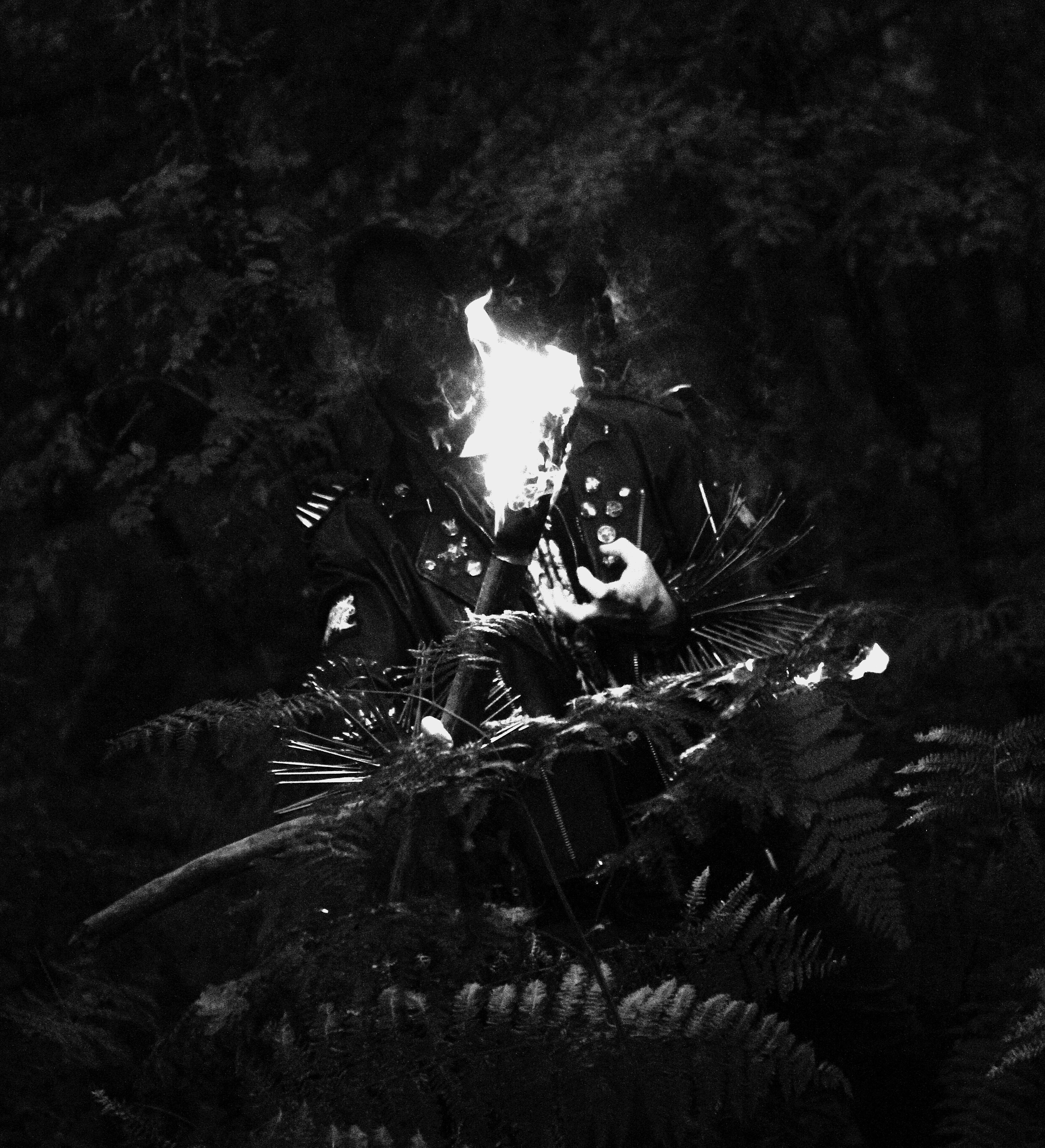 BONJOUR TRISTESSE оприлюднили 12-хвилинний титульний трек із «Disaster Triumphant»