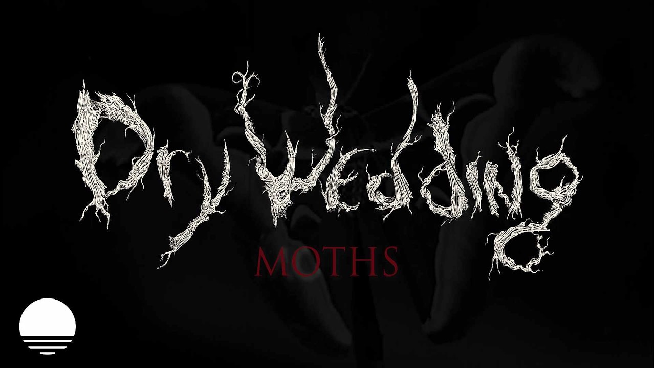 DRY WEDDING представили новий сингл «Moths» із відео й анонсували третій альбом «The Back Of Beyond»