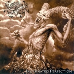 SUFFERING SOULS — Incarnated Perfection