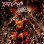 FLESHCRAWL — Made Of Flesh