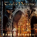 TAD MOROSE — Modus Vivendi