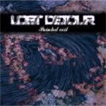 LOST DETOUR — Painted Veil