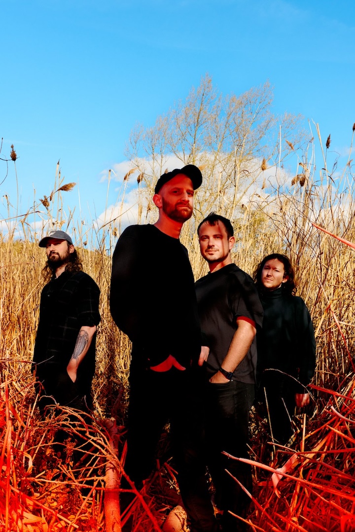 UNTITLED WITH DRUMS in a reed field under a blue sky